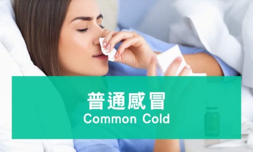 柴胡当前市场价格-中药材柴胡价格走势库存网 - 网站提供柴胡药材市场价多少钱一斤小常识、中药材柴胡价格行情