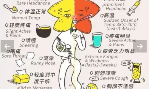 柴胡价格走向-中药材柴胡价格走势库存网 - 网站提供柴胡药材市场价多少钱一斤小常识、中药材柴胡价格行情